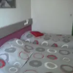 Logis Otel Puvatya